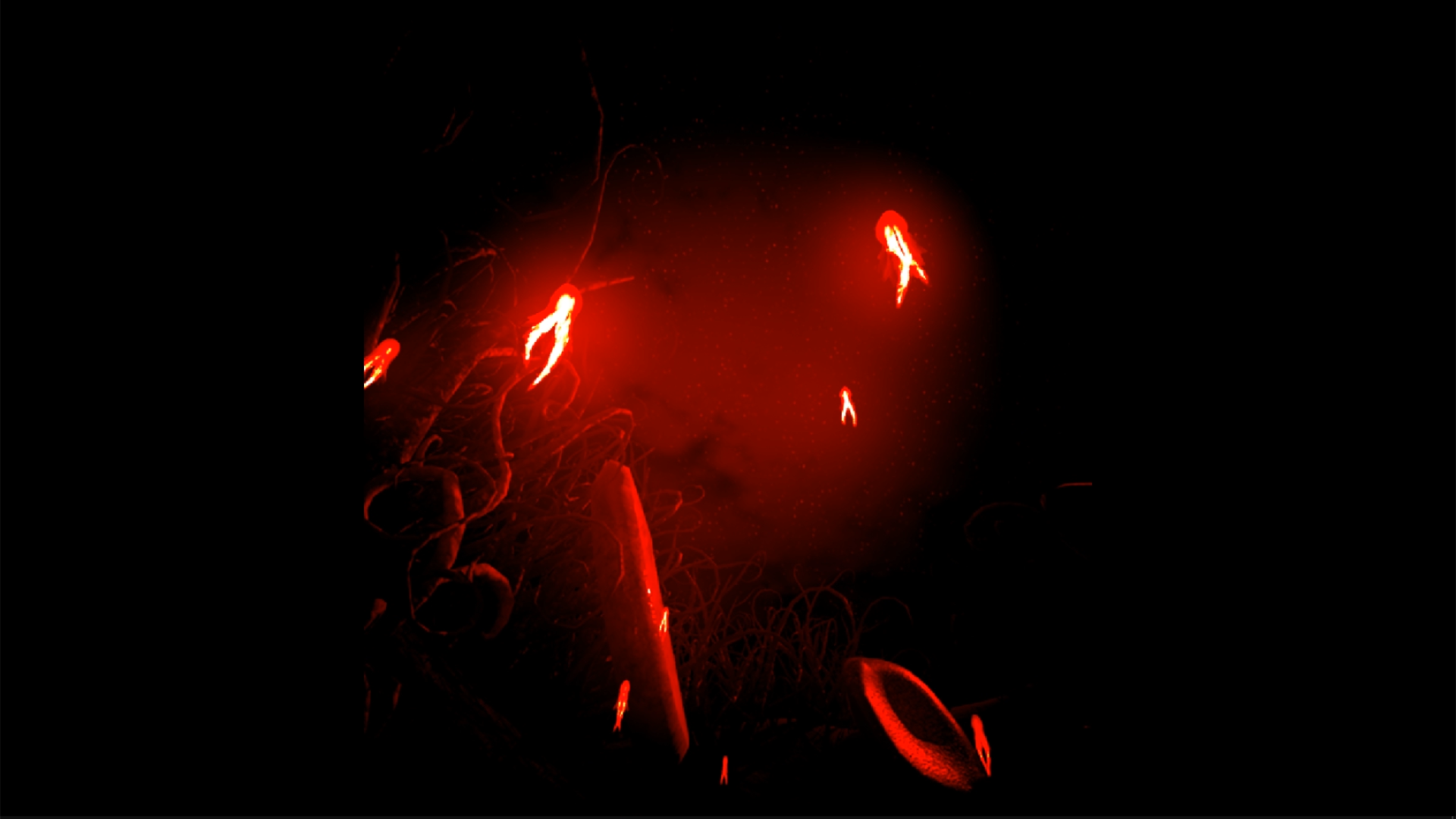image from Dreamcatcher
